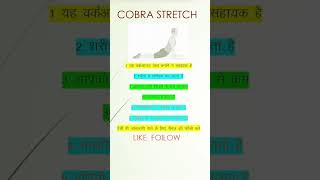 Cobra stretch [upl. by Hospers]