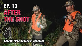 You Just Shot a Deer What Next How to Hunt Deer Ep 13 [upl. by Lothaire]