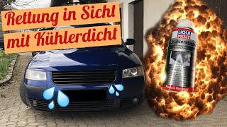 Kühlerleck dichten  Günstiger geht es nicht  LIQUI MOLY Kühlerdichter  Schramouflage Ep 010 [upl. by Nogem351]