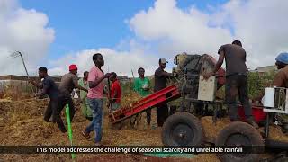 Availability of AllYear Round Fodder [upl. by Other]