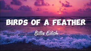 BillieEilish BIRDS OF A FEATHER LYRICS [upl. by Suter16]