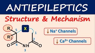 Antiepileptics Structure and mechanism [upl. by Noreh]