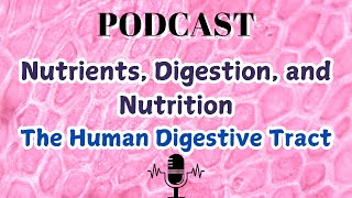 Nutrients Digestion and Nutrition The Human Digestive Tract [upl. by Johnsson336]