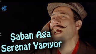 Sosyete Şaban  Şaban Ağa Serenat Yapıyor [upl. by Nyllek614]