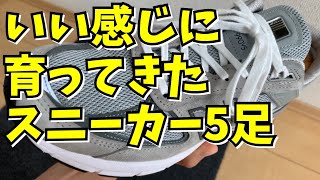 「定番New Balance 990V5とかCONVERSE CT70。丁寧に履いて、いい感じに育ってきました！」 [upl. by Ttreve]