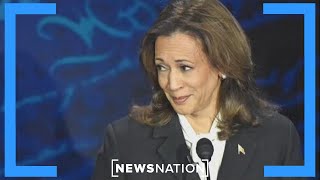 Harris momentum is happening Democratic strategist  NewsNation Now [upl. by Elsi]