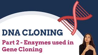 DNA Cloning  Part 2  Enzymes used in Gene Cloning [upl. by Aikam641]