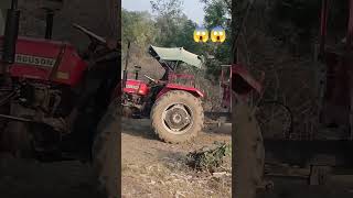 My Driving Massey 241 power 🔥💪🏻 rj09sandeep [upl. by Kester]