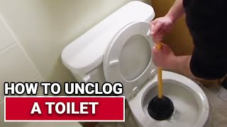 How to Unclog a Toilet  Ace Hardware [upl. by Shuman]