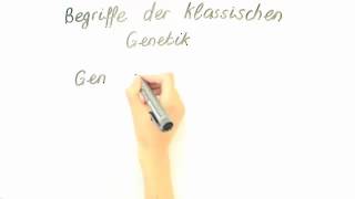 VERERBUNGSLEHRE  GRUNDLAGEN  Biologie  Genetik und Entwicklungsbiologie [upl. by Minny]