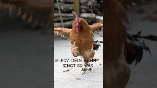 PLÖTZLICH DEIN HUHN SINGT [upl. by Ailegra]