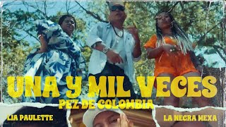 Una y mil veces PEZDECOLMBIA FEAT LiaPaulette X La Negra MeXa [upl. by Haney890]