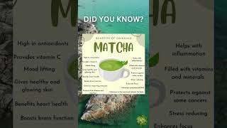 Benefits of Drinking Matcha [upl. by Karina]