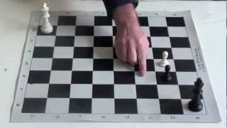 Chess Tutorial 8 Outflanking [upl. by Nilecoj]