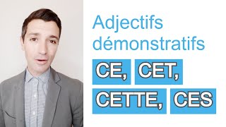 Les adjectifs démonstratifs  Grammaire A1A2 [upl. by Trstram]