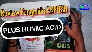 Review Fungisida ANFUSH‼Trichoderma Gliocladium  Humic Acid Pencegah Layu Fusarium [upl. by Scarrow588]