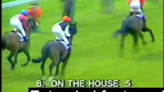 1982 1000 Guineas On The House extended footage [upl. by Ytisahcal]