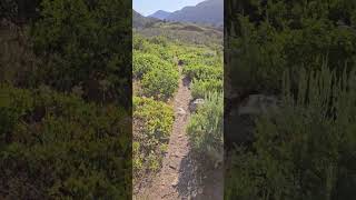 Steamboat Springs skyline trail early morning hike [upl. by Ecargyram194]