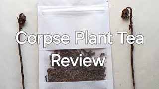 Ghost Pipe Tea Review Halloween Special ghostpipe corpseplant [upl. by Berky]