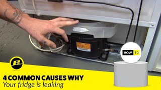 How to Fix a Leaking Fridge 4 Possible Ways [upl. by Hanover]