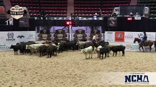 ASPIREYTION  2019 Gelding 2023 NCHA Super Stakes Non Pro [upl. by Gasper]