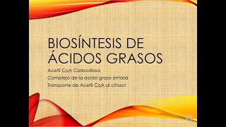 Biosíntesis de ácidos grasos [upl. by Timothy]