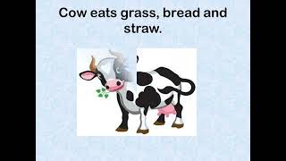 Essay on Cow video [upl. by Gollin703]