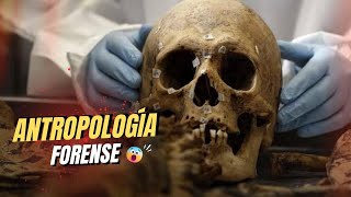 Cómo LA ANTROPOLOGÍA FORENSE puede ayudar a IDENTIFICAR RESTOS HUMANOS [upl. by Sansbury]