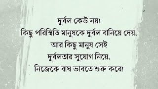 নাইট লাইভ শুরু করলাম [upl. by Si]