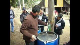 Fertilizante LÃ­quido de Guano  Liquid Manure Fertilizer [upl. by Iramo]