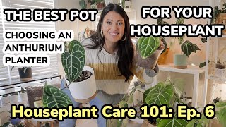 Houseplant Care 101 The Best Pot For Your Houseplant  Best Anthurium Care Pot  Episode 6 Planters [upl. by Ilamad]