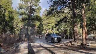 Chasing  Lahontan Cutthroat Trout Spring Mountains Nevada  Zombies [upl. by Anitsrhc]