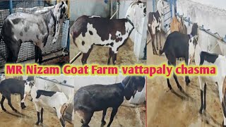 Mr Nizam Goat farm Hyderabadi Collection saste daam ke bakriyan Lbhgoat [upl. by Friedly351]