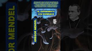 GREGOR MENDEL El Experimento con Dihíbridos Revelando la LEY de la DOMINANCIA COMPLETA [upl. by Cherianne]