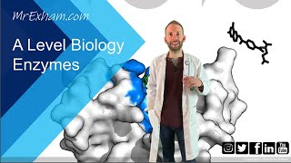 Enzymes Part 2  Inhibition  A Level Biology [upl. by Aihsined237]