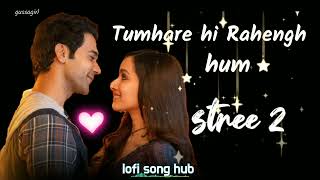 Tumhare the Tumhare Hain  tumhare hi rahenge hum  lofi song hub [upl. by Ennasirk376]