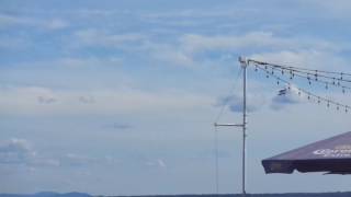 Single prop airplane flying over Venise en Quebec [upl. by Halli]