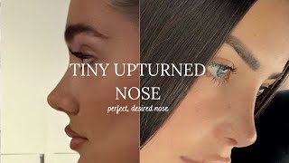 INSTANT RHINOPLASTY tiny upturned nose in 1min very powerful [upl. by Niawd]