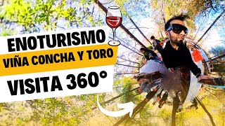 ¡Viña Concha y Toro en 360° 🍇🍷 Enoturismo en su Máximo Esplendor [upl. by Kalman]