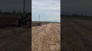 Aratura depoca landini tractor tractorlover oldtractors agriculture plowing plowingfields [upl. by Enellij609]