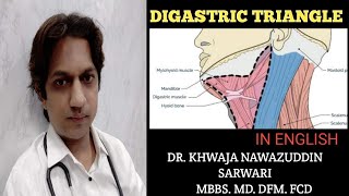 Digastric Triangle  In English  Anatomy  Submandibular region MBBSHead and neck Doctors Corner [upl. by Brownley]