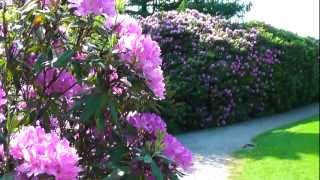 quotVorwerk Parkquot WuppertalBarmen  das RhododendronParadies [upl. by Akerehs]