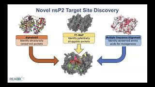 Nat Moormans 20240320 Antiviral Drug Discovery AViDD Open Science Forum Talk [upl. by Amerd730]