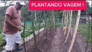 Construindo o tutoramento e plantando feijão de vagem e muito mais [upl. by Balbinder]