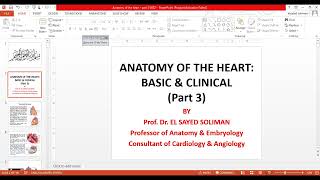 Anatomy of the heart Basic and clinical part 3 [upl. by Emolas]