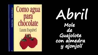 412 Audiolibro Como Agua para Chocolate de Laura Esquivel  AbrilMole de Guajolote con almendra [upl. by Reinaldo]