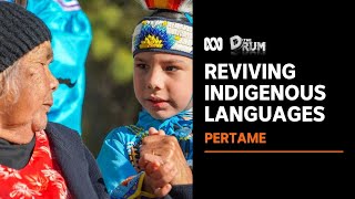 Saving Indigenous languages from extinction  The Drum  ABC News [upl. by Llenrag381]