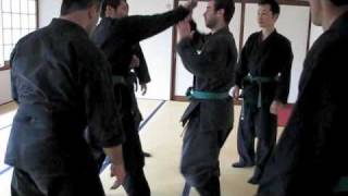 京都忍術不動心道場 Ninjutsu in Kyoto JapanTogakure ryu Ninpo Taijutsu Lesson 1 [upl. by Tyree]