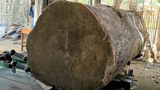 giant mahogany monster wood is sawn into beautiful planks at the sawmill [upl. by Sabine]