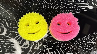 Scrub Daddy VS Scrub Mommy What’s the difference [upl. by Calandra]